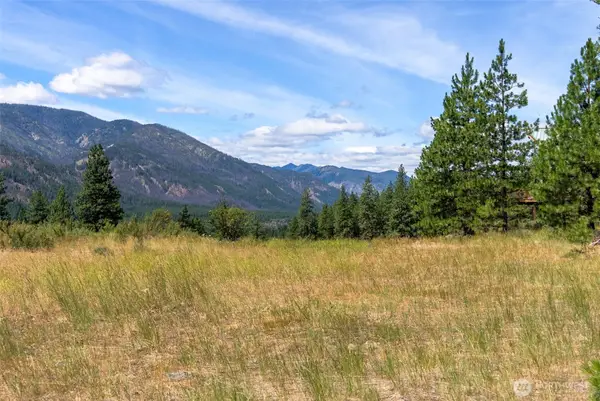 58 Homestead Road #524, Winthrop, WA 98862