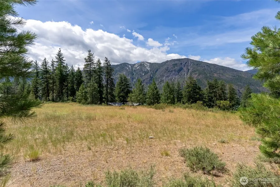 58 Homestead Road #524, Winthrop, WA 98862 - #3