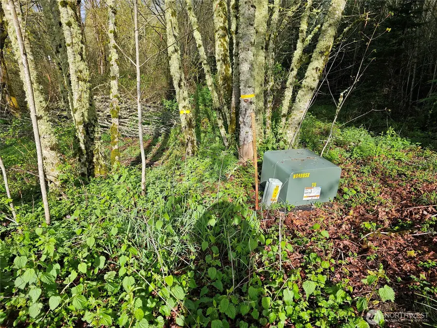 0 Birley Rd, Mossyrock, WA 98564 - #3
