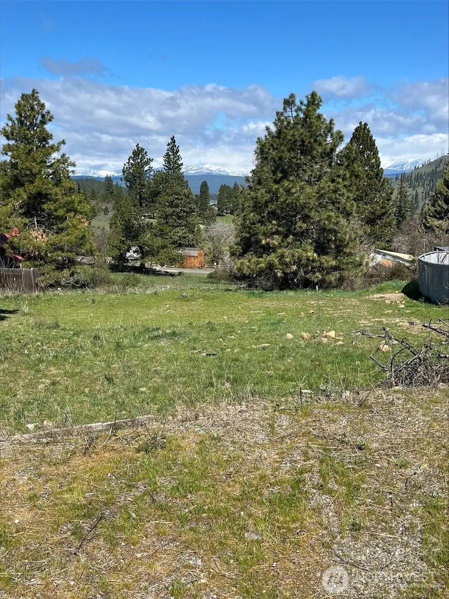 881 Sunlight Drive, Cle Elum, WA 98922 - #3
