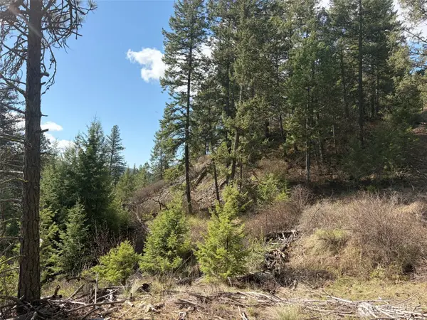 111 West Curlew Lake Road, Republic, WA 99166