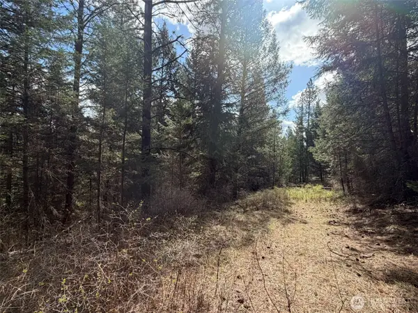 111 West Curlew Lake Road, Republic, WA 99166