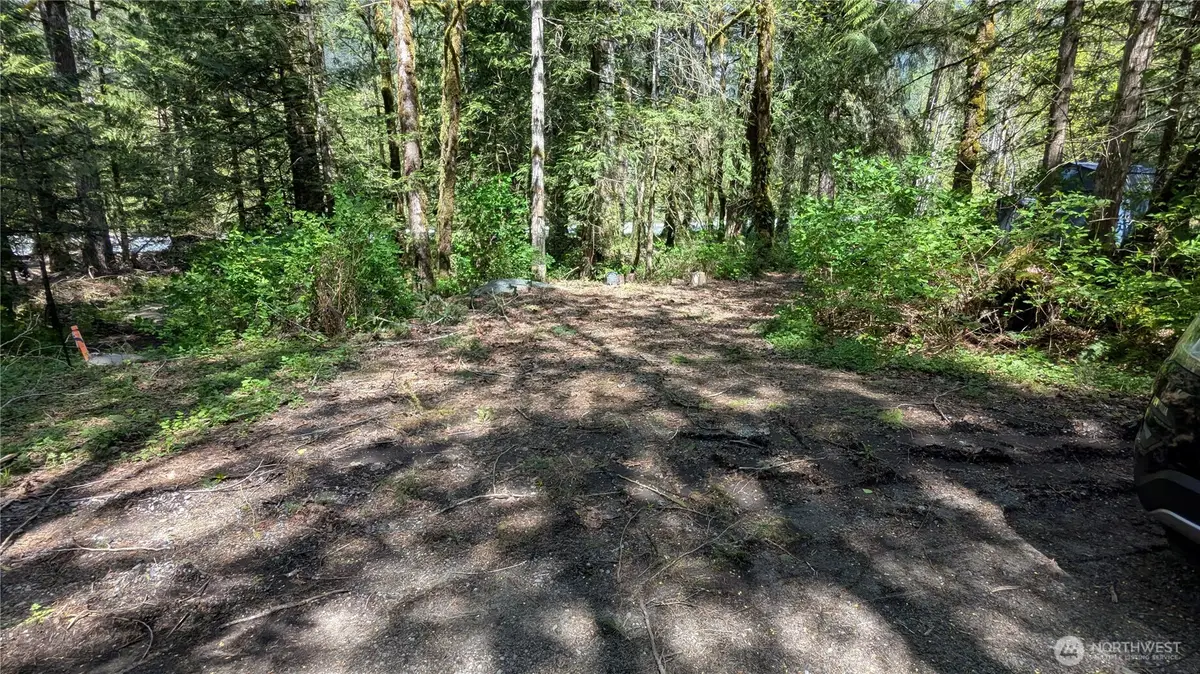 49817 Index-galena Road #9, Index, WA 98294 - #1