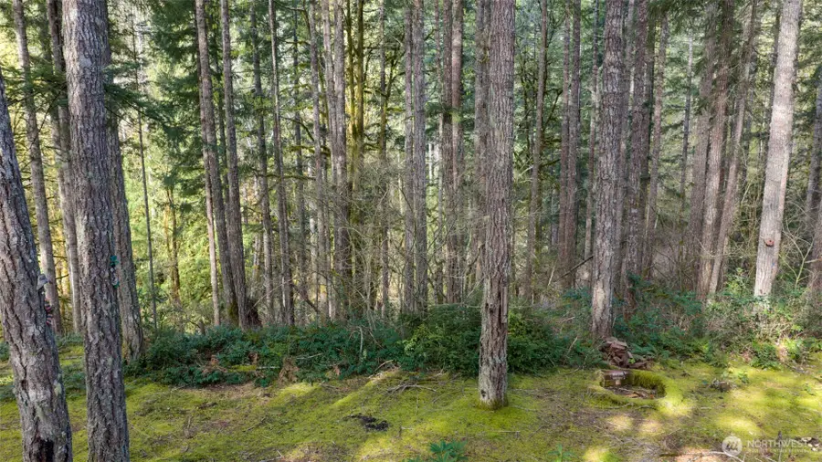 240 N Dogleg Place #154, Hoodsport, WA 98548 - #3