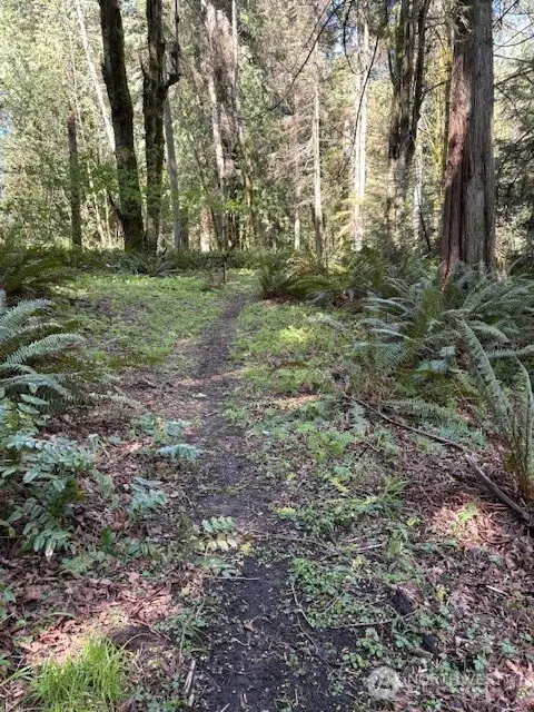 0 Agate Pass Road #LOT B of COBI SP BI-318, Bainbridge Island, WA 98110