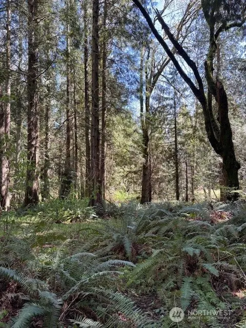 0 Agate Pass Road #LOT B of COBI SP BI-318, Bainbridge Island, WA 98110 - #2