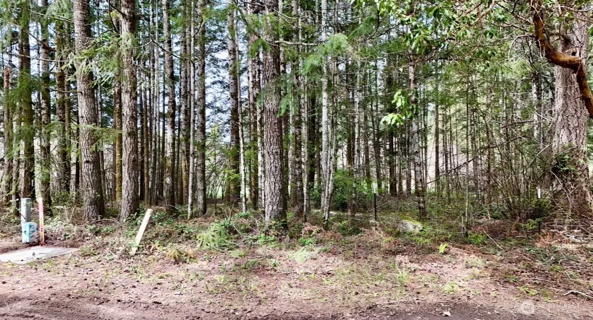 361 SE Ryan Road, Shelton, WA 98584 - #1