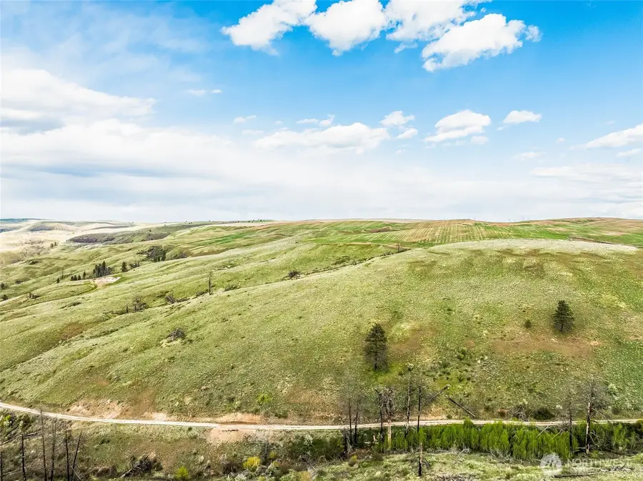 10 Lot 9 Chelan Hills Acres Rd, Orondo, WA 98843 - #3