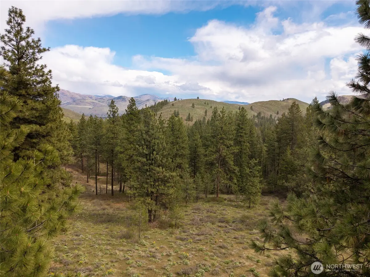 0 Whitebark Lane #61, Winthrop, WA 98862 - #1