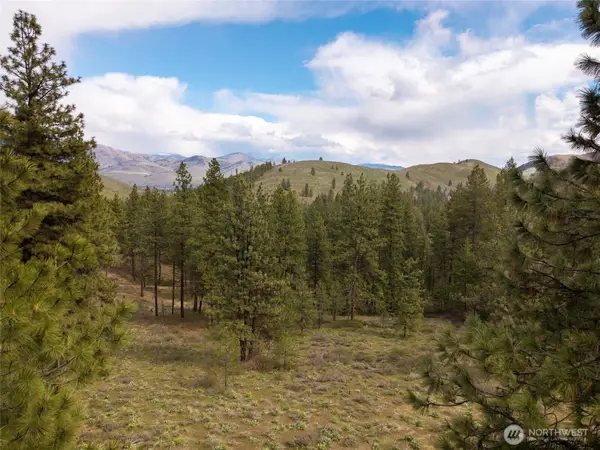 0 Whitebark Lane #61, Winthrop, WA 98862