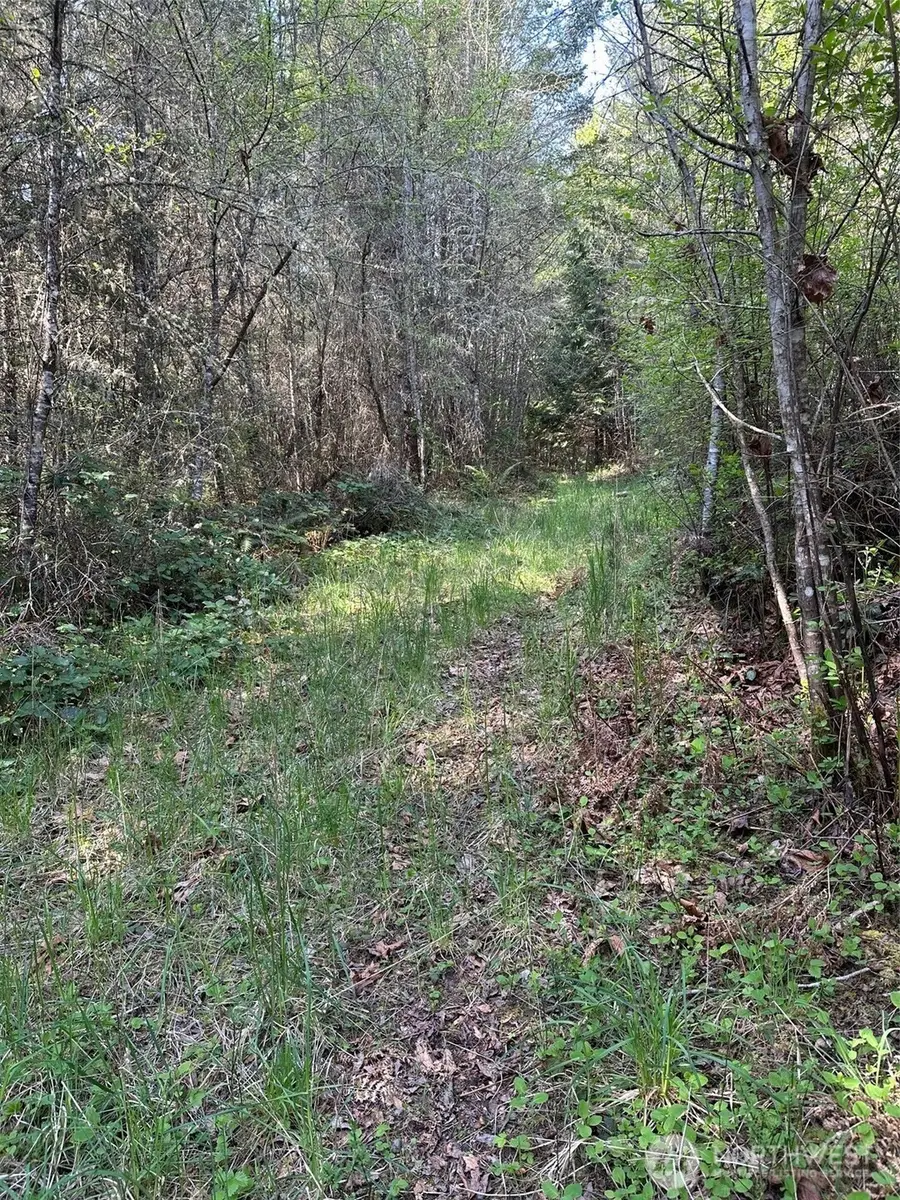 9999 Pristine Lane, Lot 3, Port Angeles, WA 98362 - #2