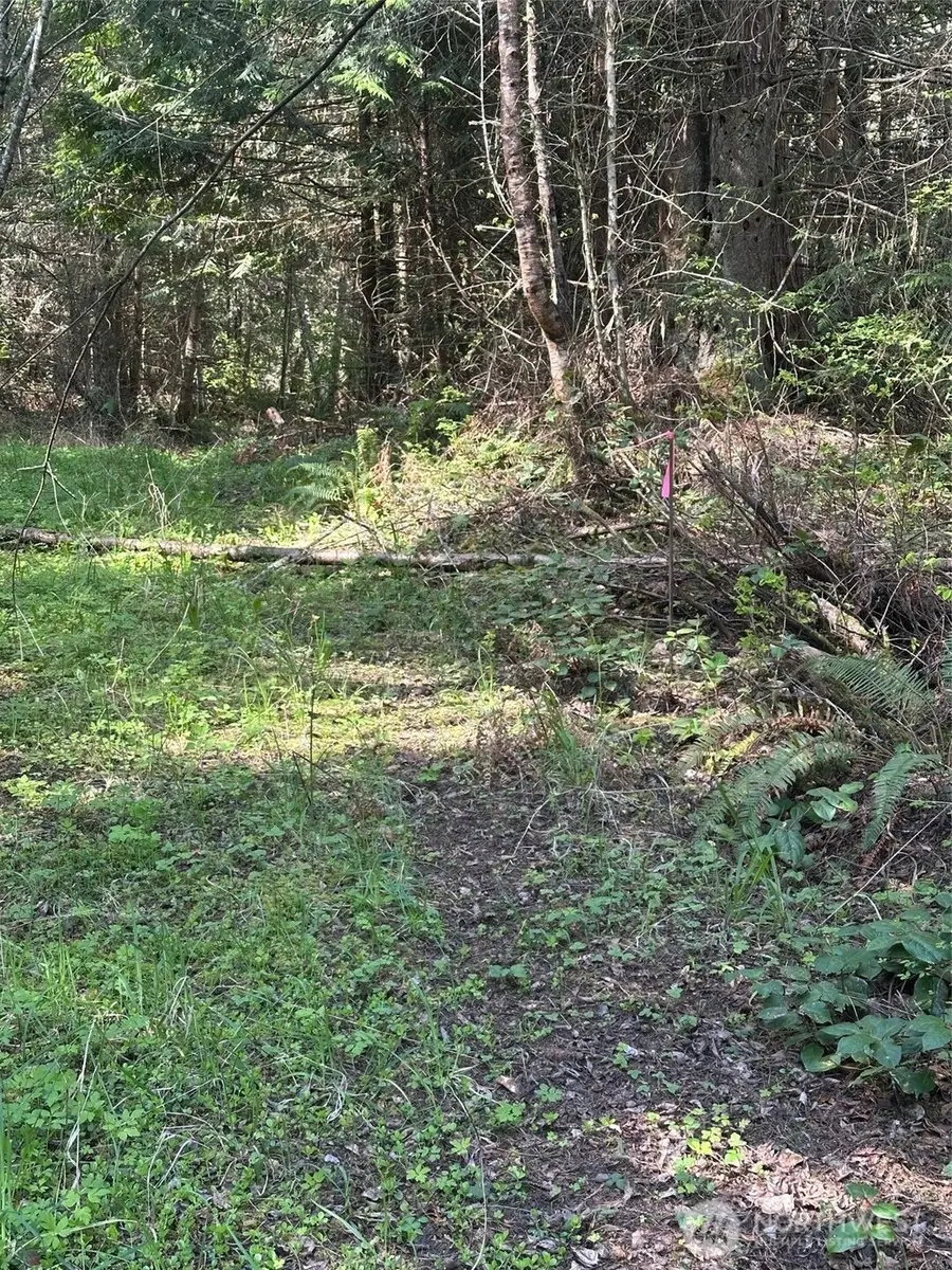 9999 Pristine Lane, Lot 3, Port Angeles, WA 98362 - #3