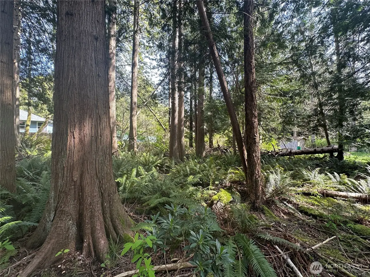 0 Lot 9 Tyee Drive #9, Point Roberts, WA 98281 - #1