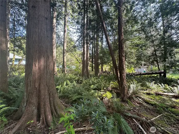 0 Lot 9 Tyee Drive #9, Point Roberts, WA 98281