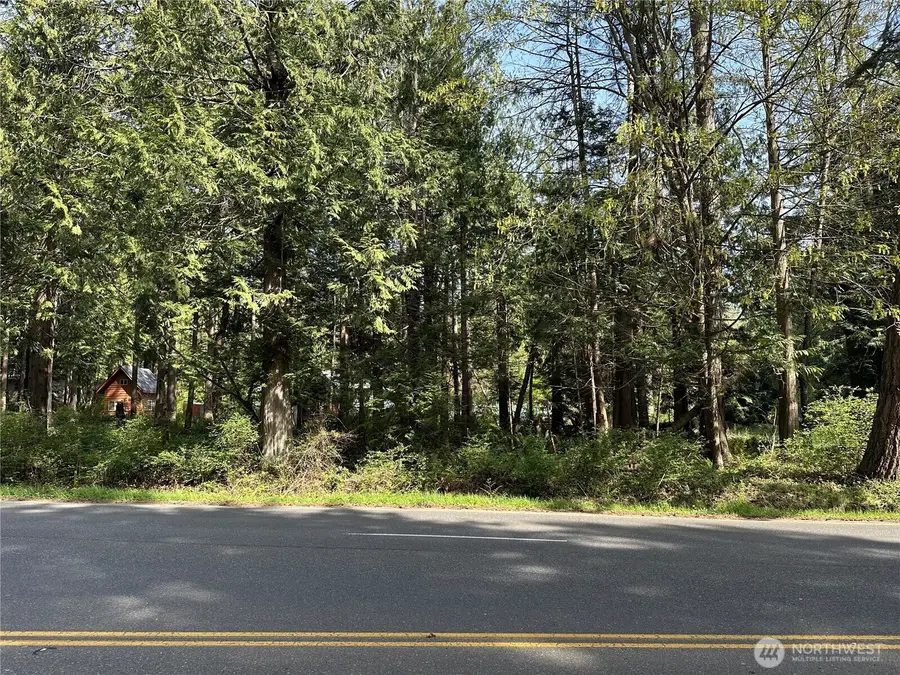0 Lot 9 Tyee Drive #9, Point Roberts, WA 98281 - #2