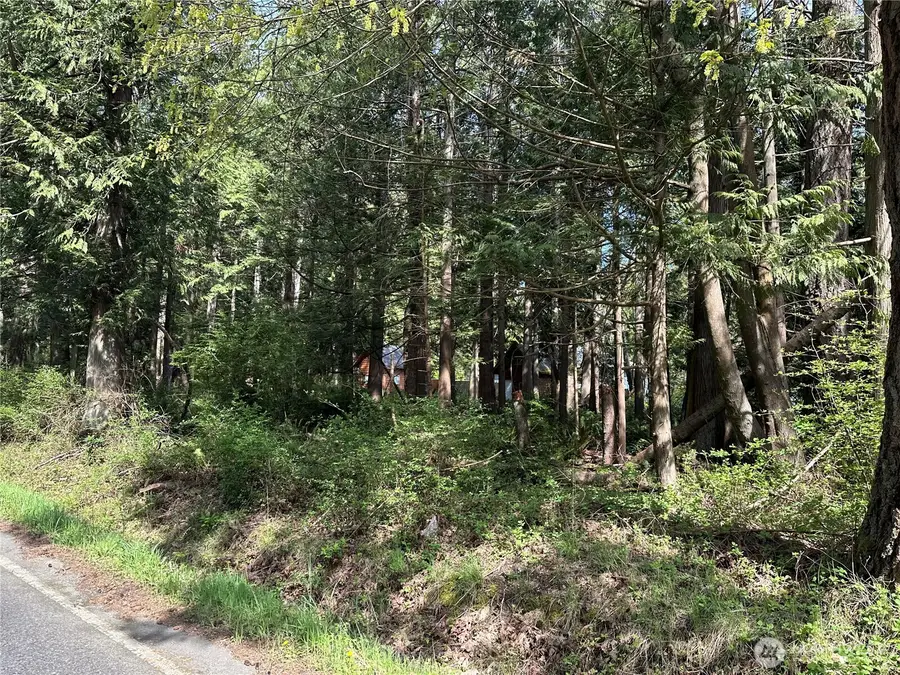 0 Lot 9 Tyee Drive #9, Point Roberts, WA 98281 - #3