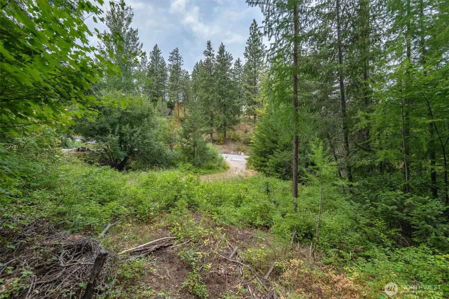6409 Forest Ridge Drive, Wenatchee, WA 98801 - #3