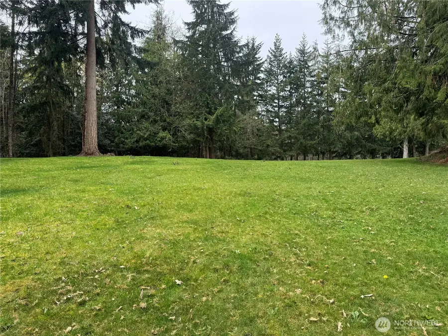 0 163rd Street E, Wilkeson, WA 98396 - #3
