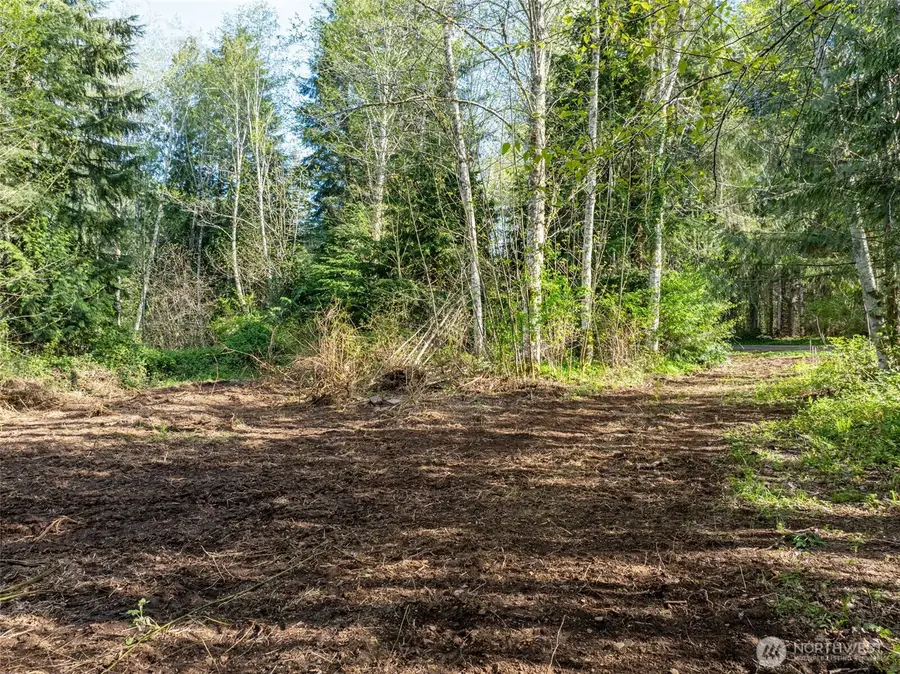 0 Davis Lake Road, Morton, WA 98356 - #2