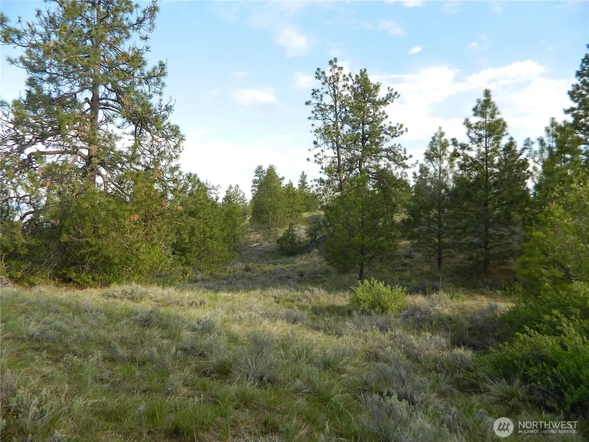 0 Tbd Rehmke Road, Tonasket, WA 98855 - #1