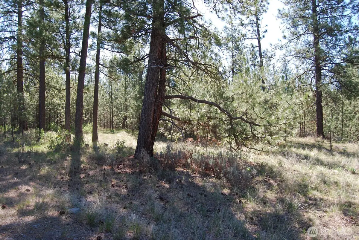 4 Chief Joseph Spur East, Riverside, WA 98849 - #1