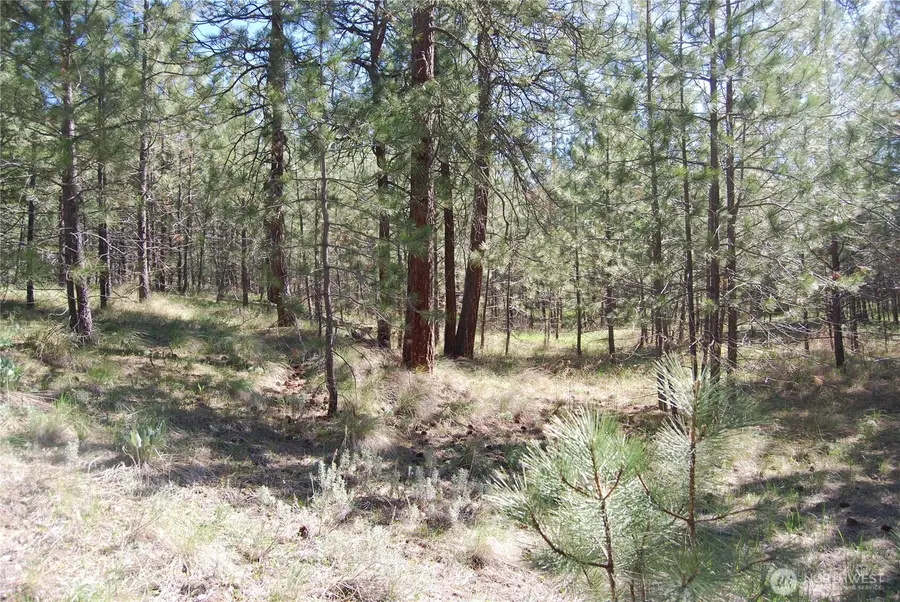 4 Chief Joseph Spur East, Riverside, WA 98849 - #3
