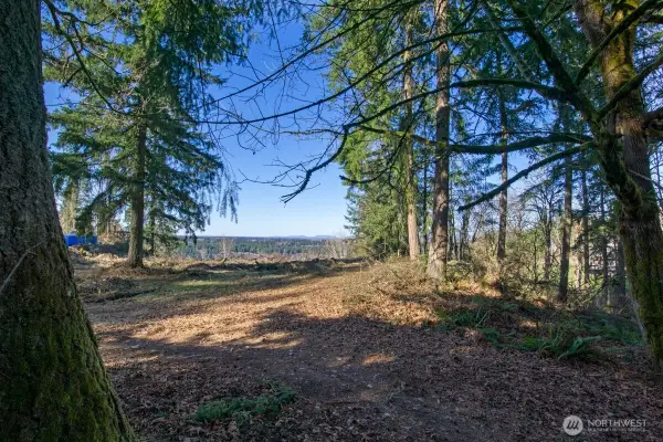 0 238th Avenue E, Buckley, WA 98360