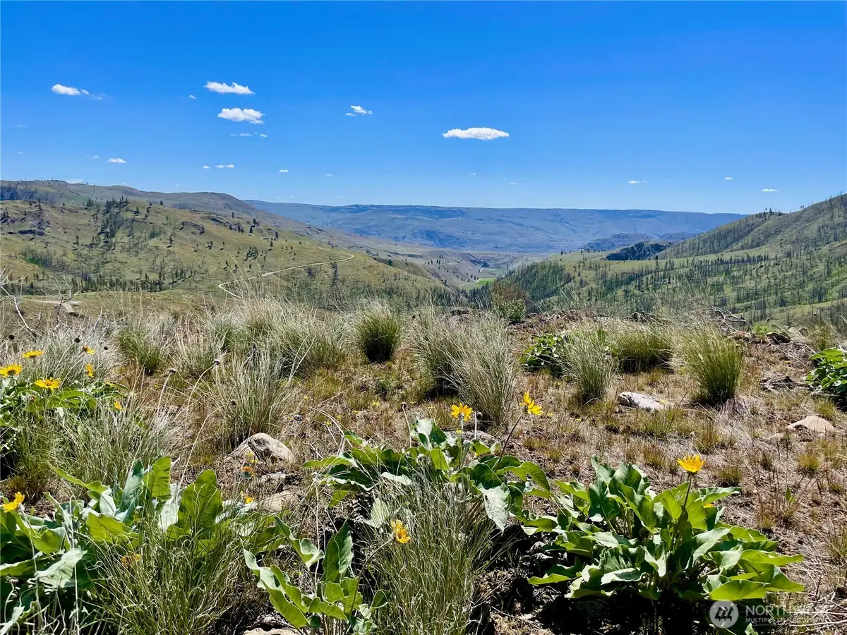 436 Antoine Creek Road, Chelan, WA 98816 - #1