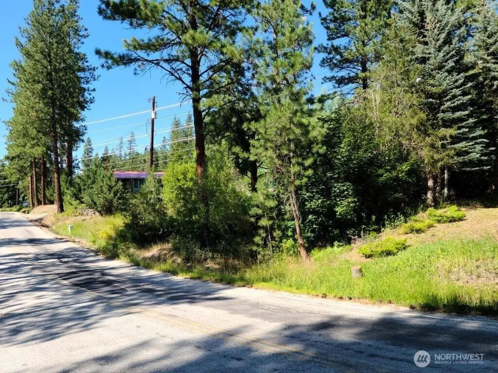 22103 Camp 12 Road #3, Leavenworth, WA 98826 - #1