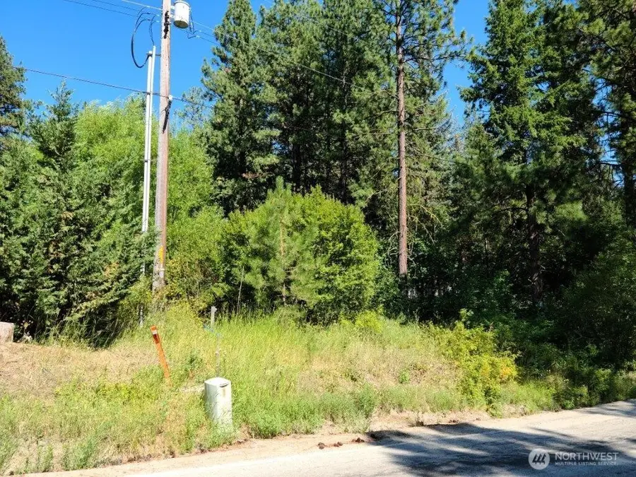 22103 Camp 12 Road #3, Leavenworth, WA 98826 - #3