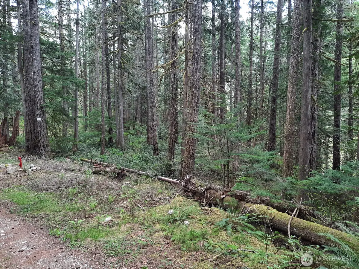 0 Cascade River Road, East Skagit, WA 98267 - #1
