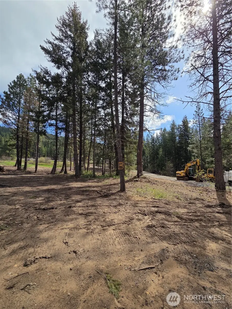 3 Double O Road #03, Ronald, WA 98940 - #2
