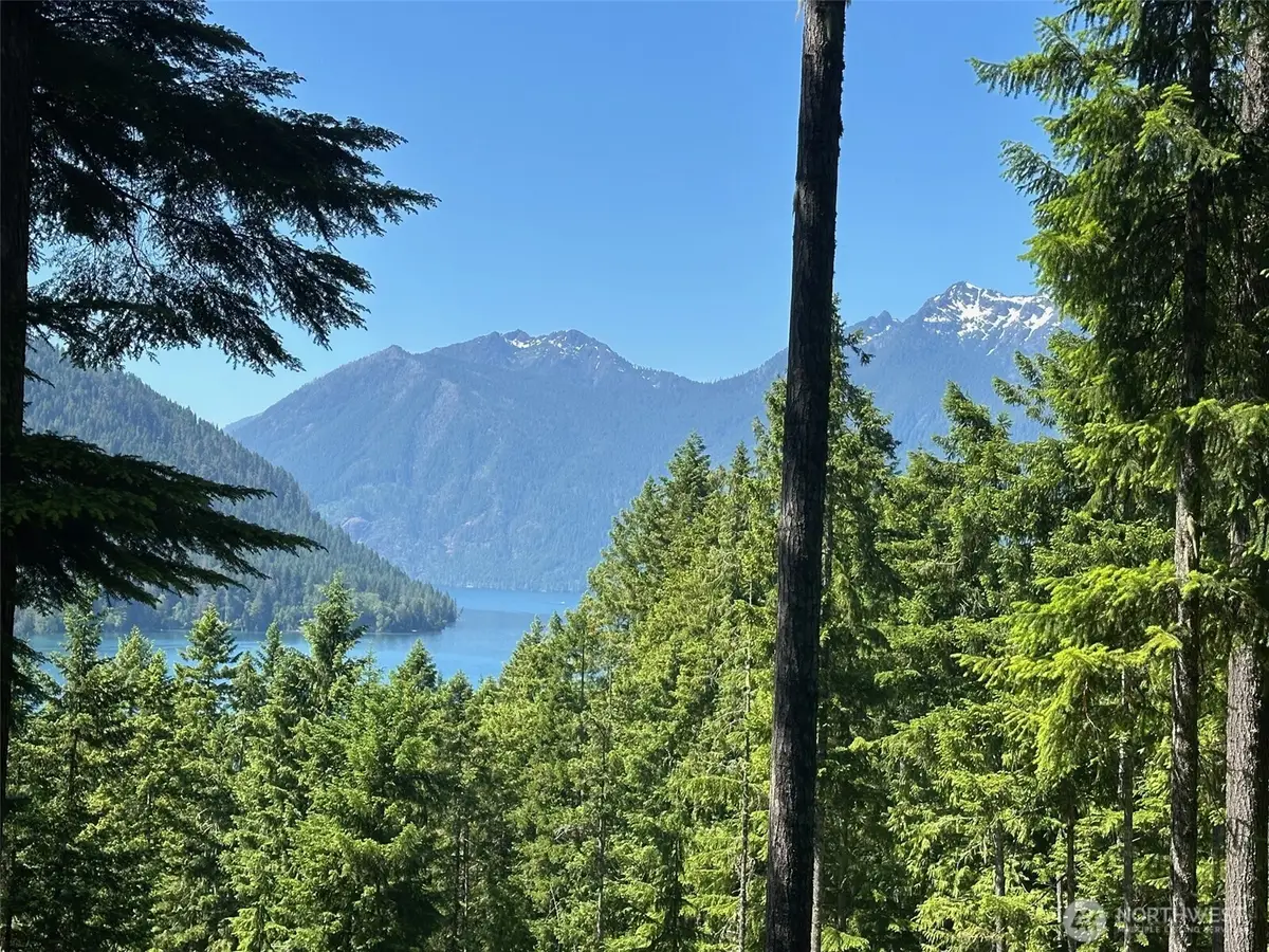 5156 N Lake Cushman Road #5A, Hoodsport, WA 98548 - #1
