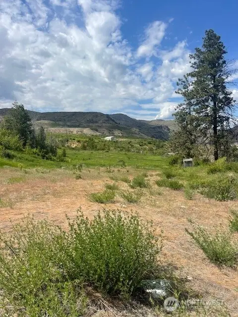 2 Lot 2 Black Canyon Road #2, Pateros, WA 98846 - #3