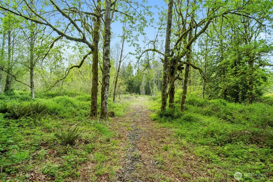 34403 NE Lewisville Highway, Yacolt, WA 98601 - #3