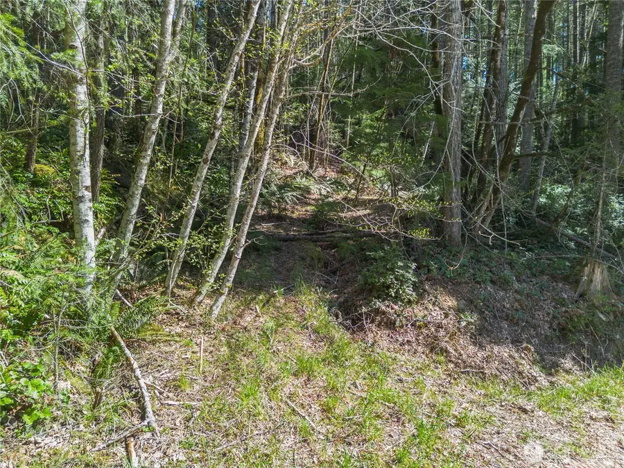 0 N Lake Cushman Road, Hoodsport, WA 98548 - #3