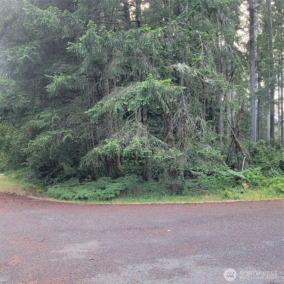 8922 129th Avenue Ct, Anderson Island, WA 98303 - #1