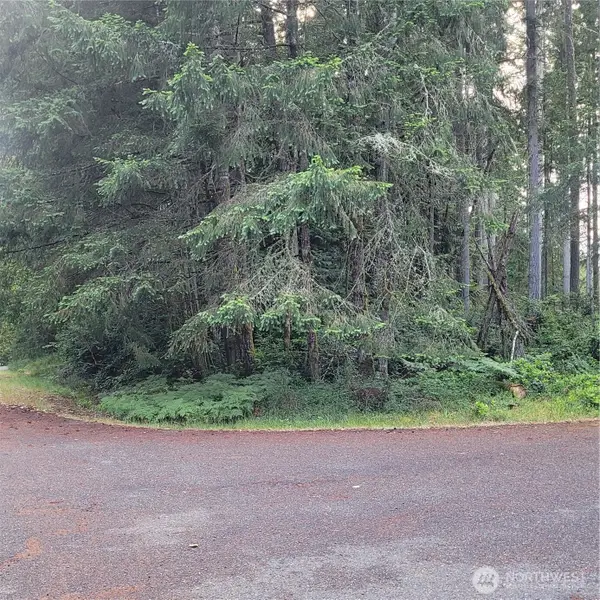 8922 129th Avenue Ct, Anderson Island, WA 98303