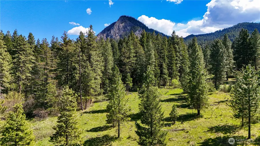 325 Graham Road, Cle Elum, WA 98922 - #3