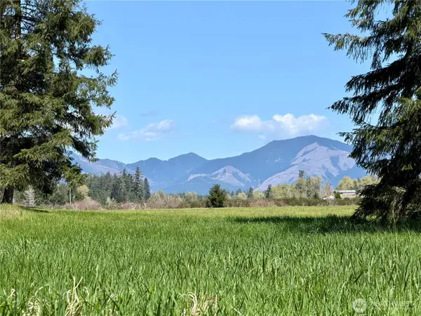 0 W Forest Green Lane, Elma, WA 98541