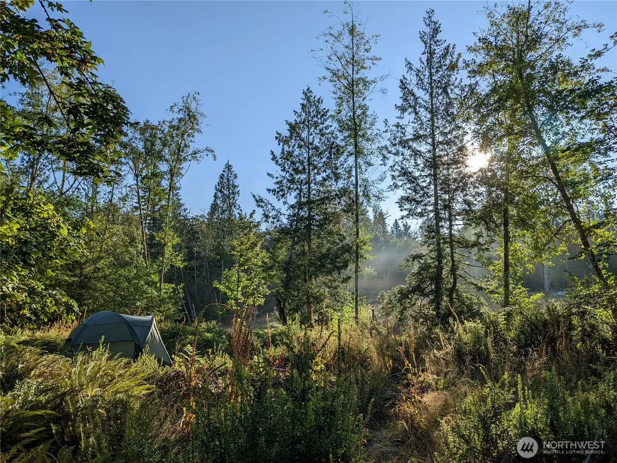 681 E Jared Road, Shelton, WA 98584 - #1