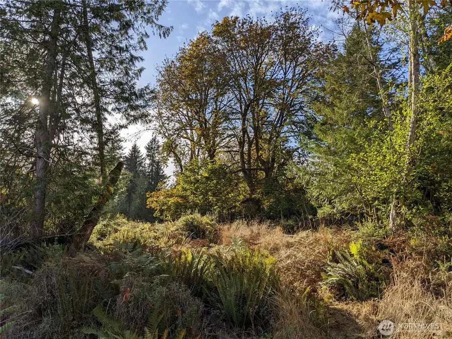681 E Jared Road, Shelton, WA 98584 - #3