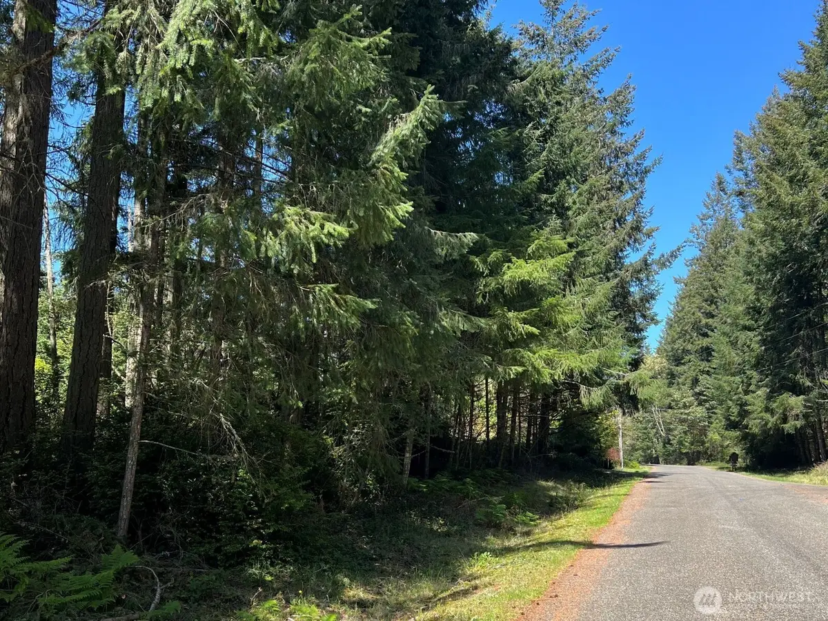 10312 Paine Road, Anderson Island, WA 98303 - #1