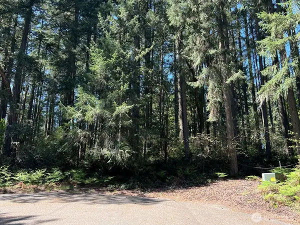 11410 103rd Street, Anderson Island, WA 98303