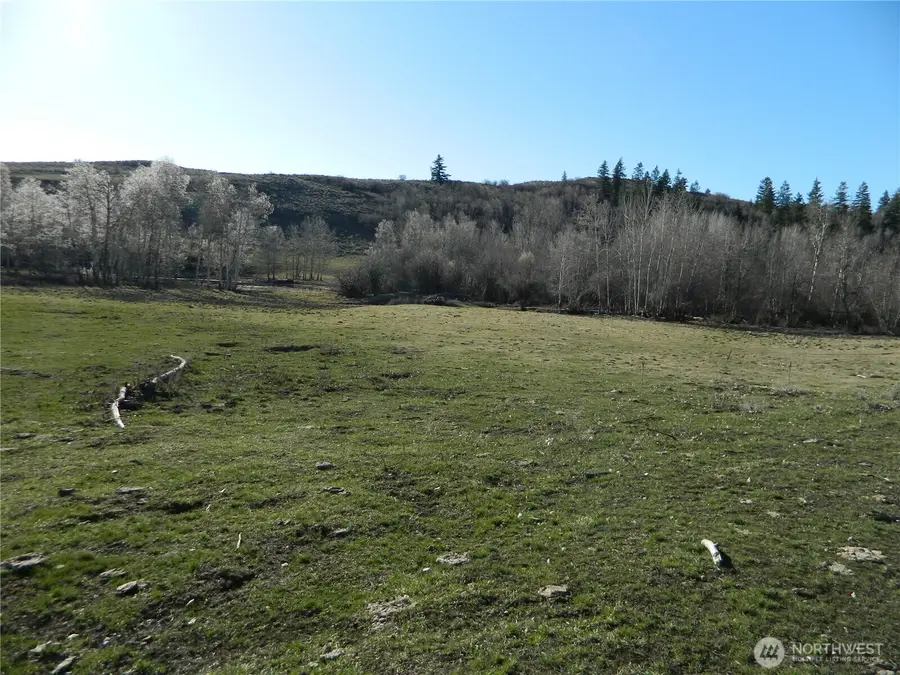 111 Tbd Ellemeham Mountain Ridge Road, Tonasket, WA 98855 - #3