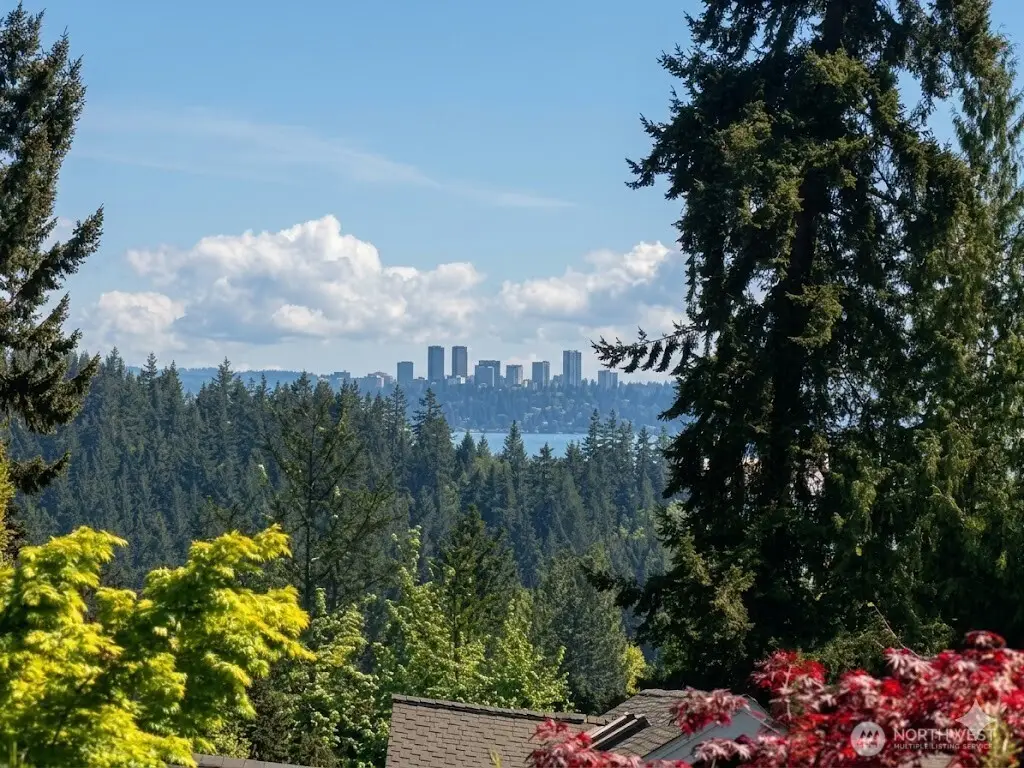 10023 NE 28th Place, Bellevue, WA 98004 - #1