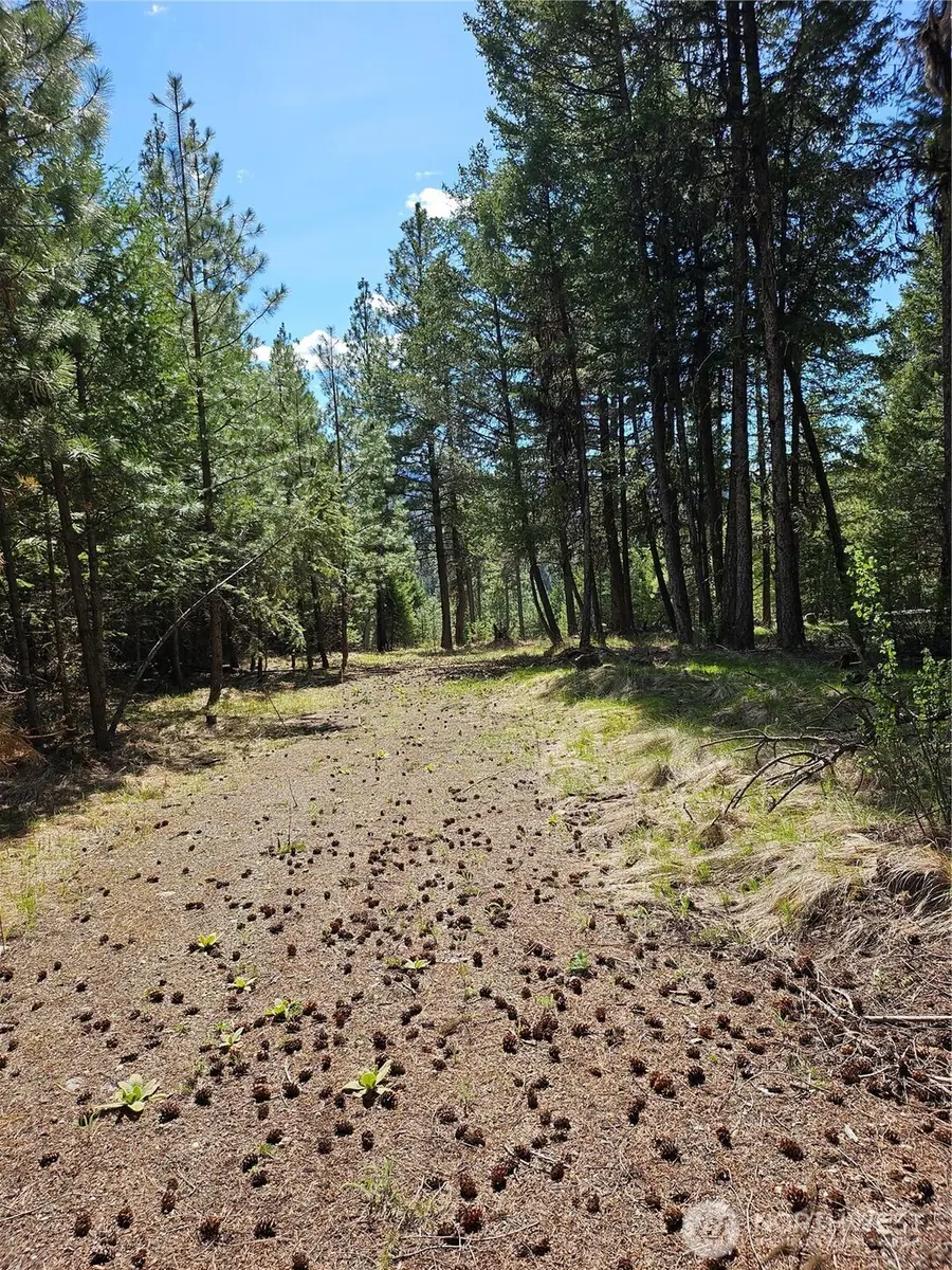 168 Prior Loop Road, Oroville, WA 98844 - #2