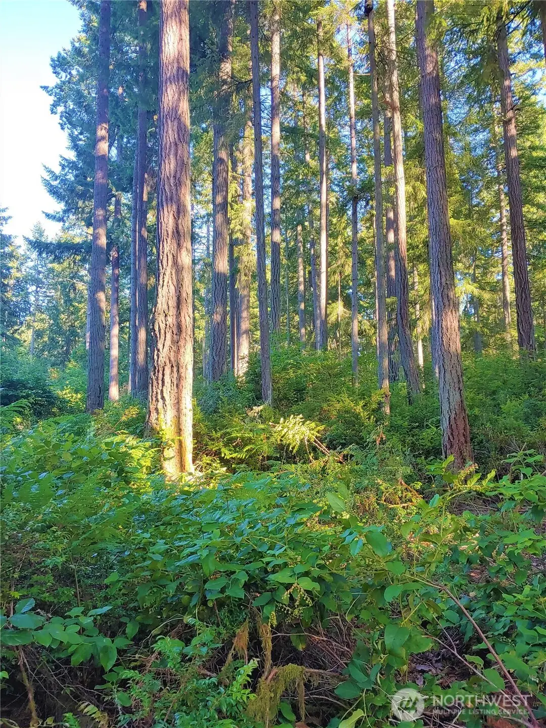 11302 106th Street #176, Anderson Island, WA 98303 - #1