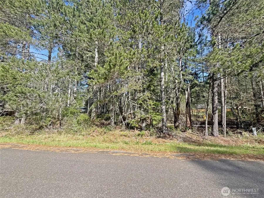 21 N Varden Way, Hoodsport, WA 98548 - #2
