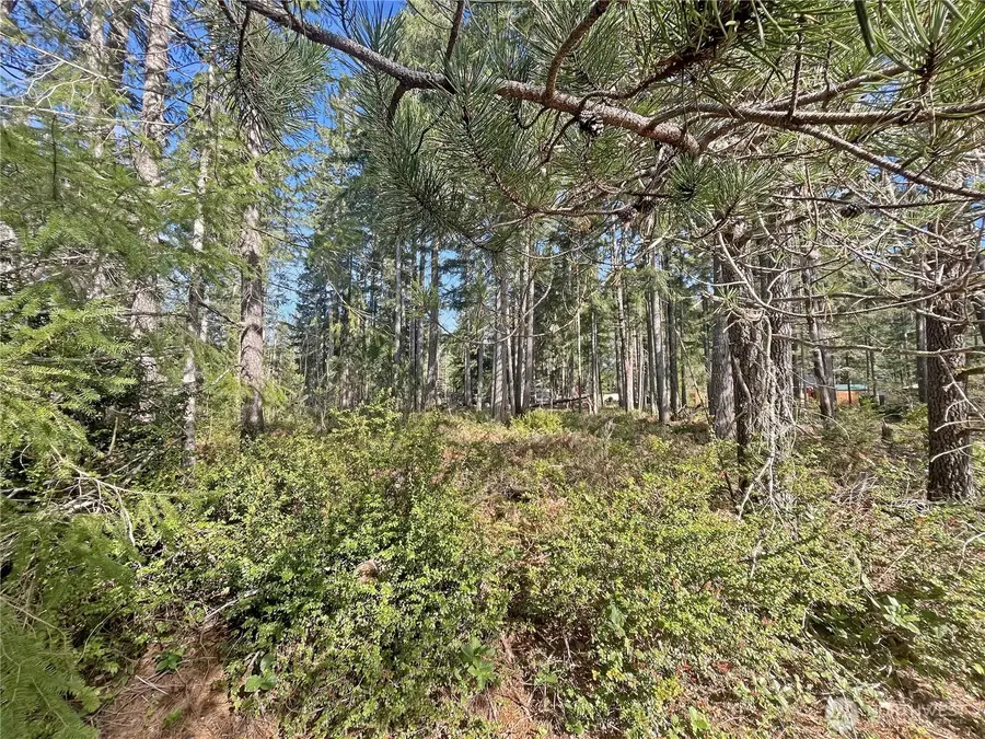 21 N Varden Way, Hoodsport, WA 98548 - #3